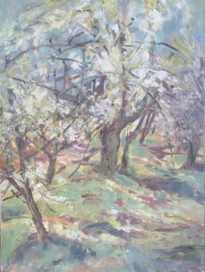 The old Cherry Orchard